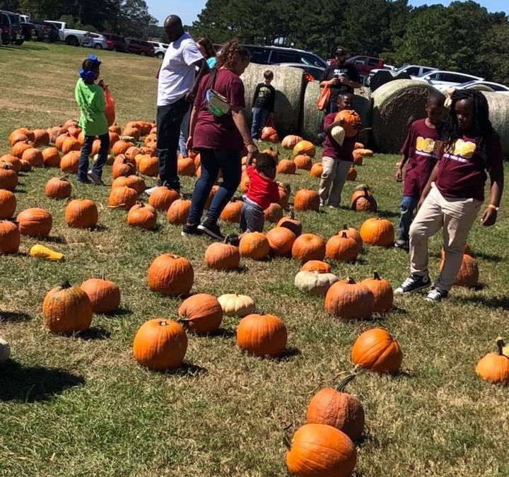 Kindergarten Class Engages in Community Service Education